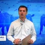Livestock-Meats Commentary for 2014-11-12