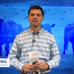 Livestock-Meats Commentary for 2014-11-17