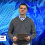 Soybean Commentary for 2014-12-22
