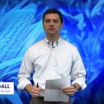 Soybean Commentary for 2014-12-30